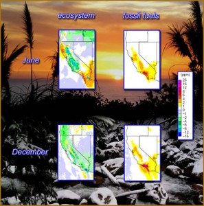 Computer-simulated maps developed at Berkeley Lab for the California Energy Commission show predicted CO2 concentrations in the surface layer of atmosphere from net ecosystem carbon exchange and fossil fuel combustion. During the summer, CO2 is actively removed from the atmosphere in some locations by photosynthesis, and released in others through respiration, as soil microbes decompose organic matter. During the winter ecosystem processes show different patterns, reflecting a combination of cooler temperatures, moister conditions, and the action of different plant groups. Fossil fuel CO2 emissions, concentrated in urban areas across the state, are more constant across the seasons. (Courtesy landandseaimages.com)
