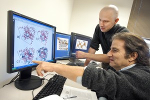 James Sethian (seated) and Maciej Haranczyk, of the Mathematics Group in Berkeley Lab’s Computational Research Division, have developed a “molecular worm” algorithm that makes it easier and faster to simulate the passage of a molecule through the labyrinth of a chemical system. (Photo by Roy Kaltschmidt, Berkeley Lab Public Affairs)