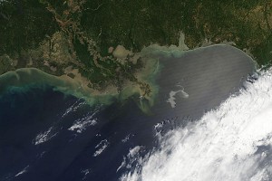 Extreme caution must be used in cleaning up the fragile Gulf Coast ecosystem in the aftermath of the Deepwater Horizon oil spill, says a Berkeley Lab bioremediation expert. Detergents used to clean up oil contaminated sites can make a bad situation even worse. (image from NASA Earth Observatory)