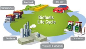 Biofuel offers an alternative to gasoline that is carbon-neutral and can be produced in a sustainable fashion. (Image from the U.S. Department of Energy)