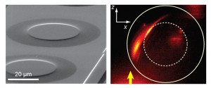On left, a scanning electron micrograph of Eaton lenses on a gold film. On right, fluorescence imaging shows the intensity of SPPs propagating in z-direction (arrow) and bending to the right when passing through the lens. The solid line marks the outer diameter of the lens and the dashed line marks the high index region. (Image by Zhang group)