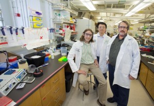 From left Julius Lucks, Lei “Stanley” Qi and Adam Arkin created an RNA-based regulatory system that can independently control the transcription activities of multiple targets in a single cell. (Photo by Roy Kaltschmidt, Berkeley Lab Public Affairs)