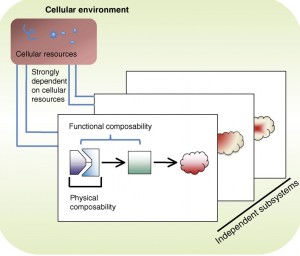 Synthetic biologists want to design biological circuits with parts from scalable families interconnecting specialty purpose parts. Multiple independent biological circuits (subsystems) composed of interconnected parts (lines)  would be placed inside a single cellular environment and share the same resources. (Courtesy of Adam Arkin group)