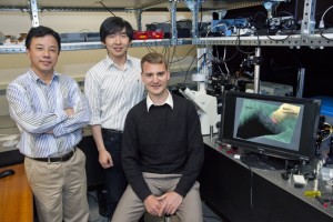 From left, Berkeley Lab’s Xiang Zhang, Ziliang Ye and Volker Sorger have demonstrated the first true nanoscale waveguides for next generation on-chip optical communication systems. (Photo by Roy Kaltschmidt, Berkeley Lab Public Affairs)