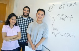 Yi Liu, a chemist with Berkeley Lab’s Molecular Foundry, along with Liana Klivansky and David Hanifi, helped develop a copper-catalyzed version of click chemistry that is biocompatible. (Photo by Roy Kaltschmidt, Berkeley Lab)