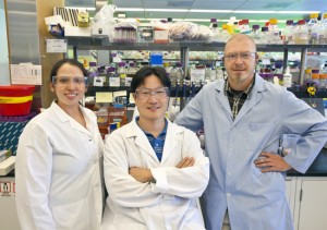 From left, Pamela Peralta-Yahya, Taek Soon Lee and Mario Ouellet were key members of a team at the Joint BioEnergy Institute (JBEI) that demonstrated the potential of the chemical compound bisabolane to replace D2 diesel. (Photo by Roy Kaltschmidt, Berkeley Lab)