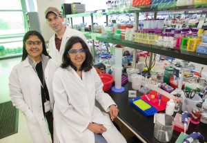 (From left) Aindrila Mukhopadhyay, Eric Luning and Lara Rajeev have produced the first ever map of the genes that determine how  bacteria interact with their surrounding environment. (Photo by Roy Kaltschmidt, Berkeley Lab)