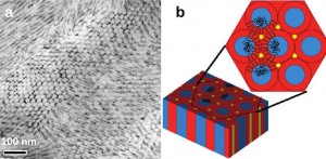TEM (a) shows cadmium sulfide nanorods forming arrays that are aligned and oriented parallel to the cylindrical microdomains of block copolymers. Schematic drawing (b) illustrates copolymers with nanorods. 