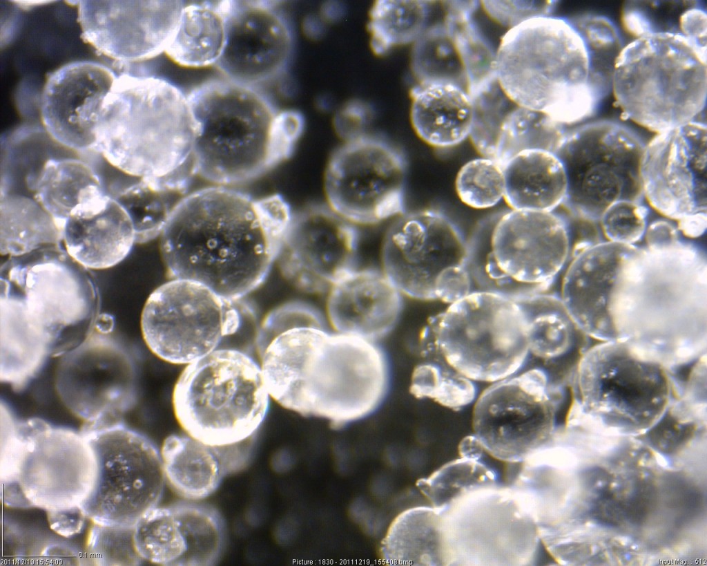 Snow manufactured in the laboratory, magnified 500x.