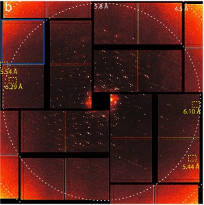 X-ray diffraction patterns of photosystem II microcrystals obtained at the Linac Coherent Light Source were reconstructed by computers into images of the composition and atomic structure of the crystals at a resolution of 6.5 angstroms, the first ever such images at room temperature.