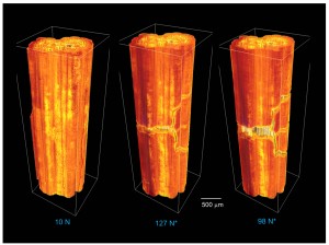 These CT scans showing the formation of microcracks in ceramic composites under applied tensile loads at 1,750 degrees Celsius were obtained at Berkeley Lab’s Advanced Light Source through the use of a unique mechanical testing rig. (Courtesy of Robert Ritchie, et. al)