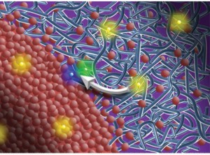 Molecular view of polymer/fullerene solar film showing an interface between acceptor and donor domains. Red dots are PC71BM molecules and blue lines represent PTB7 chains. Excitons are shown as yellow dots, purple dots are electrons and green dots represent holes. 