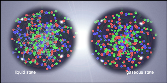 Force lines indicate the much higher degree of interaction and flow among quarks in the liquid state (left), as observed in collisions of nuclei at RHIC, than in the gaseous quark-gluon plasma state which had been expected (right).