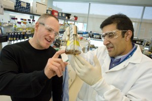 Jay Keasling (left) and Rajat Sapra at the Joint BioEnergy Institute have developed a unique metabolic analysis technique based on the carbon-13 isotope that can greatly speed up the search for new biofuel microbes. (Photo by Roy Kaltschmidt, Berkeley Lab Public Affairs)