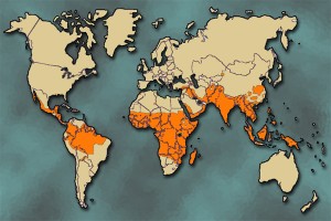 According to the World Health Organization, each year nearly 500 million people become infected with malaria, and nearly three million, mostly children, die from it. Areas around the world facing the greatest risk, shown reddish brown, harbor some of the world’s most impoverished people.