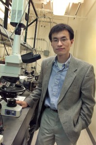 Peidong Yang is an award winning chemist and leading authority on nanoscience who holds appointments with Berkeley Lab’s Molecular Foundry and Materials Sciences Division and with the UC Berkeley Chemistry Department. 