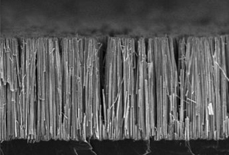 Highly dense vertical arrays of nanowires made from silicon and titanium oxide show promise for the effiecient production of hydrogen through solar water splitting.