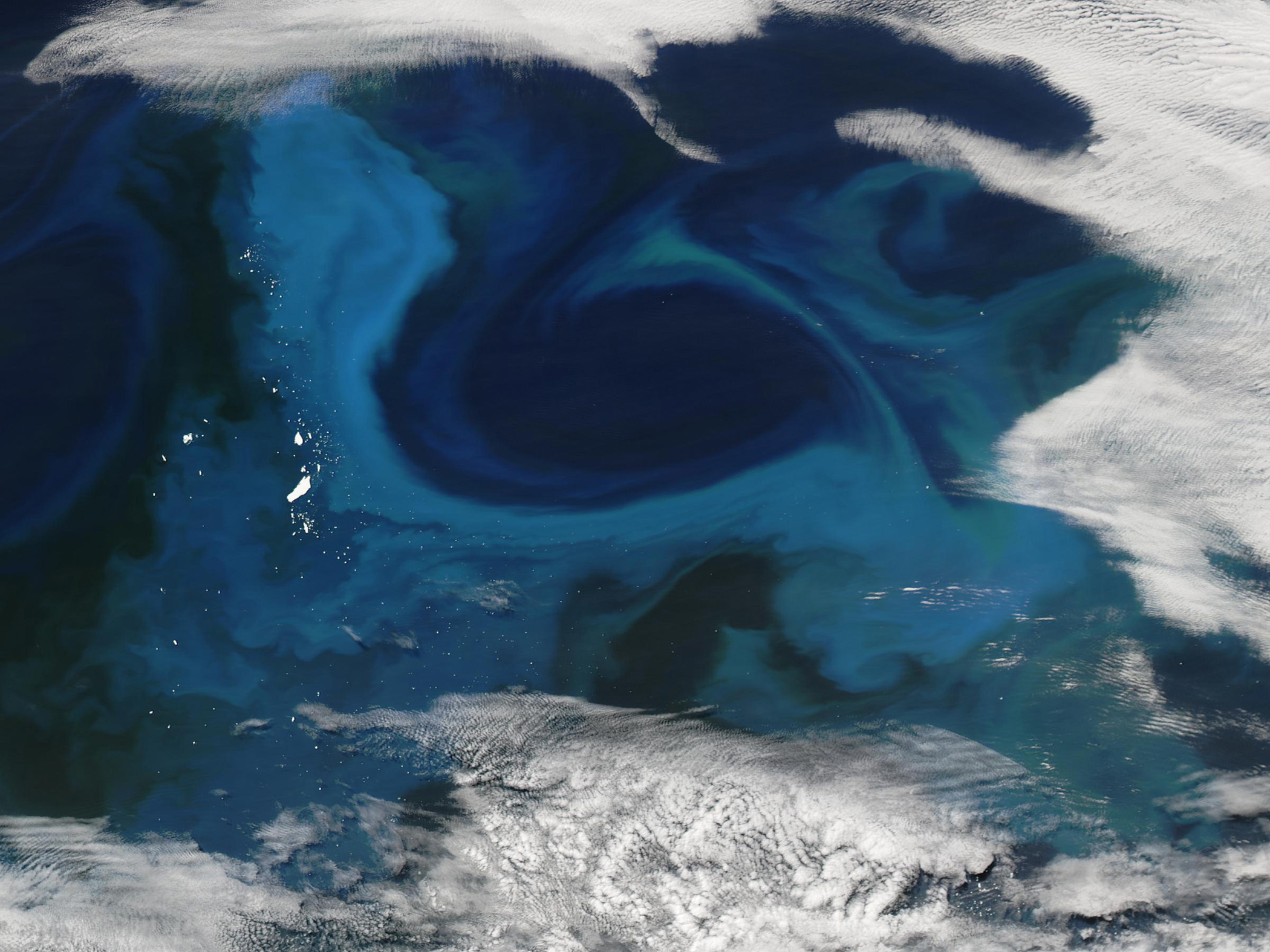 A phytoplankton bloom in the Southern Ocean, captured during a break in the clouds by an orbiting NASA satellite. (The region pictured is different from that where the SOFeX experiment was conducted.) 