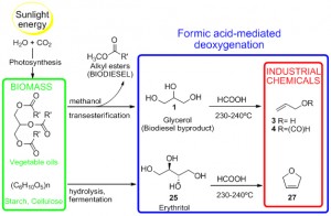 This formic acid-mediated deoxygenation reaction converts glycerol and other unwanted biomass byproducts into feedstocks for commodity chemicals. It could enable biomass to serve as a renewable replacement for petrochemicals. (graphic cortsey of Elena Arceo)