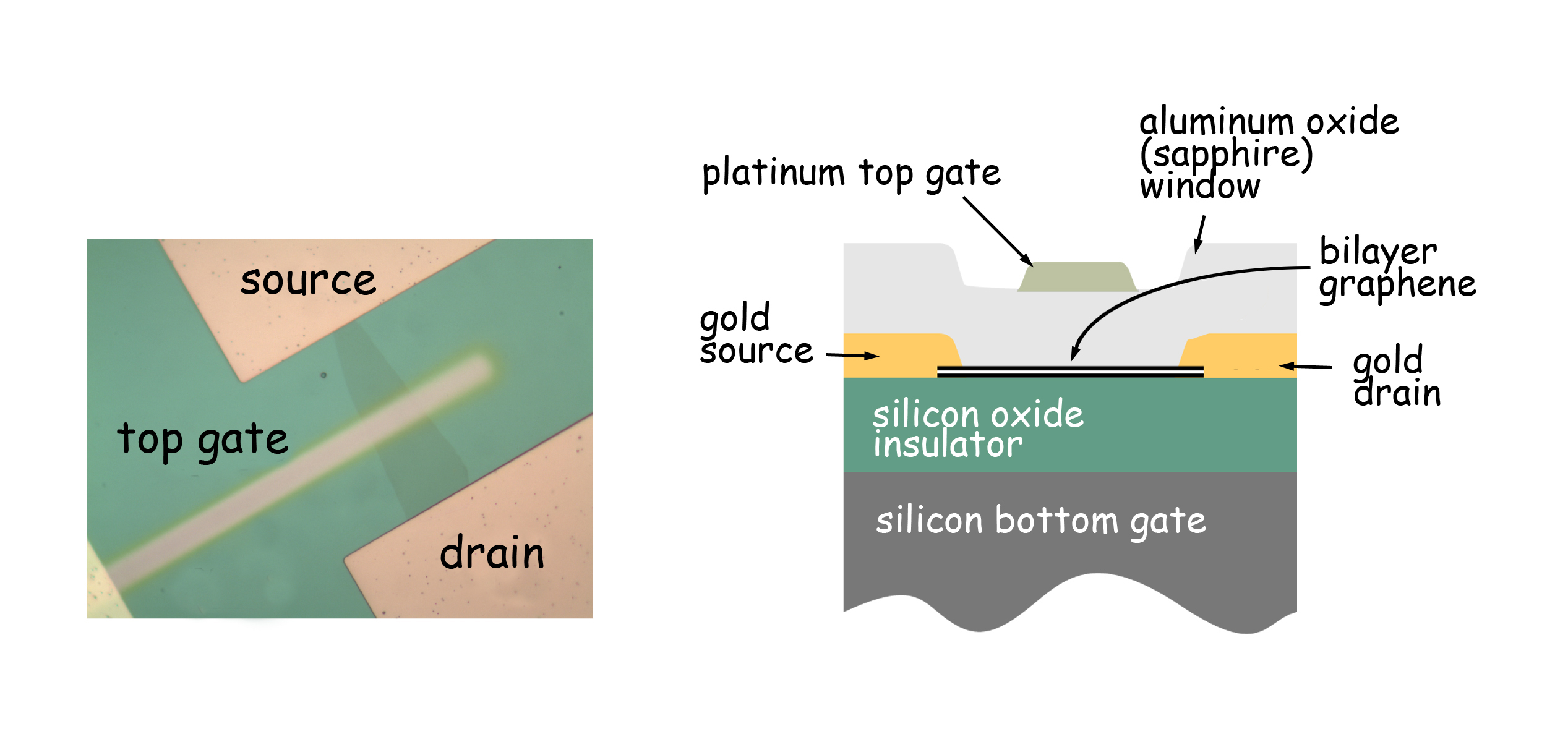 At left, a microscope image looking down through the bilayer-graphene field-effect transistor – the orientation as seen by the synchrotron beam. Diagram at right identifies the elements.