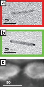 Image (a) is a transmission electron micrograph of a cadmium-selenide nanocrystal before gold tip growth in solution and image (b) is after. Image (c) is a scanning electron micrograph of a single nanocrystal two-terminal device. 