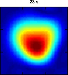 This Hyper-SAGE image of xenon dissolved in water flowing through a phantom lung shows the intensity of the MRI signal 23 seconds into the process. The warm colors (red,  orange and yellow) represent a stronger signal than the cool colors. (image from Xin Zhou)