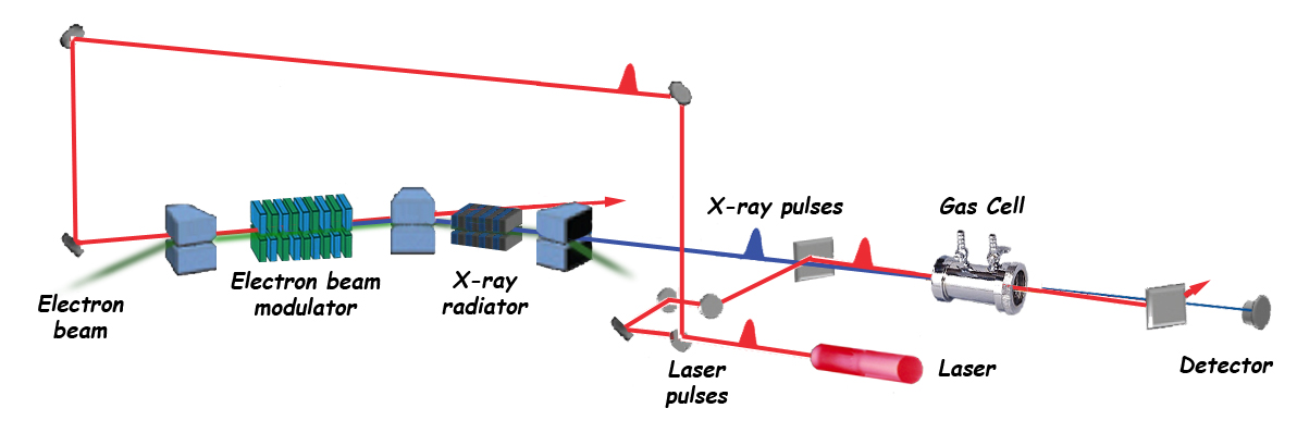 A simplifed sketch of the experiment at the Advanced Light Source’s femtosecond spectroscopy beamline layout. A laser oscillator generates femtosecond pulses that follow two paths. One path interacts with the synchrotron’s electron beam to generate femtosecond x-ray pulses; the other (after a delay to insure synchronization) rejoins the x-ray pulses and co-propagates with them through the neon-sample gas cell.