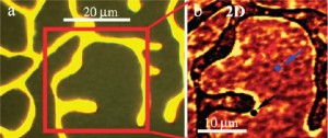 Left panel (a) an optical image of a CVD graphene film on a 450 nanometer copper shows the finger morphology of the metal; panel (b) is Raman 2D band map of the graphene film between the metal fingers, over the area marked by the red square in (a). (image from says Yuegang Zhang)