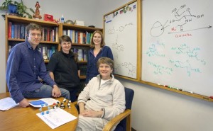 A research team led by Carolyn Bertozzi (seated) and including (from left) Scott Laughlin, Sharon Amacher and Karen Dehnert successfully attached imaging probes to glycans in the embryos of zebrafish less than seven hours after fertilization, the earliest recordings ever of  of glycan activity on embryonic cells. (Photo by Roy Kaltschmidt, Berkeley Lab Public Affairs).