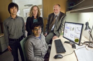Mohan Sarovar (seated) and (from left) Akihito Ishizaki, Birgitta Whaley and Graham Fleming carried out the first  observation and characterization of quantum entanglement in a real biological system. (Photo by Roy Kaltschmidt, Berkeley Lab Public Affairs)