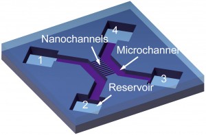 Schematic of a 2-nm nanochannel device, with two microchannels, ten nanochannels and four reservoirs. (Image courtesy of Chuanhua Duan)