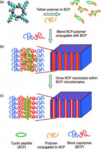 Schematic drawing depicts process by which a polymer is tethered to cyclic peptides (8CP)then blended with block copolymers (BCPs) to make a membrane aligned with subnanometer channels in the form of organic nanotubes.