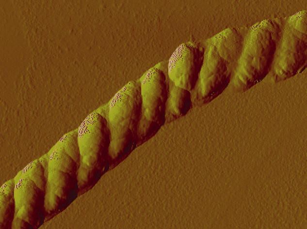 An atomic force microscopy image of the nanoscale rope shown at a resolution of one-millionth of a meter. 