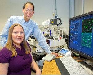 Genevieve Van de Bittner and Christopher Chang, with Berkeley Lab’s Chemical Sciences Division, developed a probe based on firefly luciferin that enabled them to safeky monitor hydrogen peroxide levels in mice. (Photo by Roy Kaltschmidt, Berkeley Lab Public Affairs)