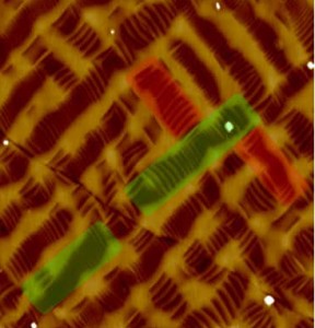 In this atomic force microscopy topography image of a special mixed phase bismuth ferrite sample, red and green shaded areas indicate two sets of mixed phase regions oriented at 90 degrees to each other. (Image from Ramesh group)