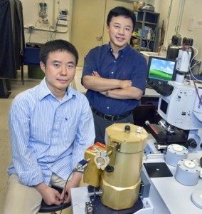 Metamaterials experts Yongmin Liu (left) and Xiang Zhang  (Photo by Roy Kaltschmidt, Berkeley Lab Public Affairs)