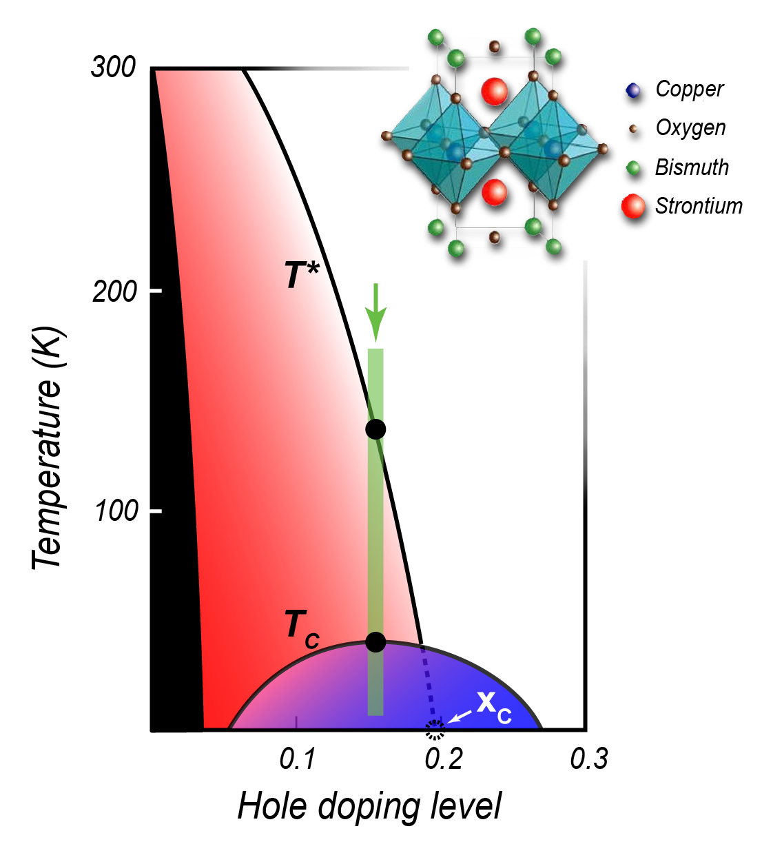 In this phase diagram common to many cuprate superconductors, the insulating phase typical of undoped cuprate compounds appears at the far left (black). Other phases appear with increased hole doping – the dome-shaped superconducting phase below Tc (blue), the mysterious pseudogap below T* (red), and a “normal metallic” phase (white). New evidence from studies of Bi2201 (crystal structure inset) along the temperature range shown in green strongly supports the idea that the pseudogap is in fact a distinct phase of matter that persists into the superconducting phase. If so the T* phase transition must terminate in a quantum critical point (Xc) at zero temperature. (Click on image for best resolution.)