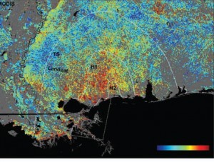 NASA satellite image shows damaged and destroyed forest trees (in red) in the aftermath of Hurricane Katrina, damage that in terms of the carbon cycle was equivalent to  a 10-percent increase in U.S. fossil fuel emissions for a year. (Image courtesy of NASA)