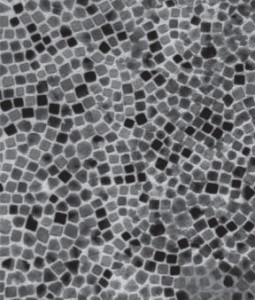 Transmission electron micrograph showing monolayer of a cerium oxide nanocube monolayer on a platinum monolayer in a new bilyaer nanocatalyst. (Image courtesy of Yang group)