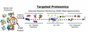 Schematic of targeted proteomics technique in which  a peptide mass and a specific fragment mass are selected for SRM mass spectrometry analysis to identify and quantify a target protein. (Image from Christopher Petzold) 