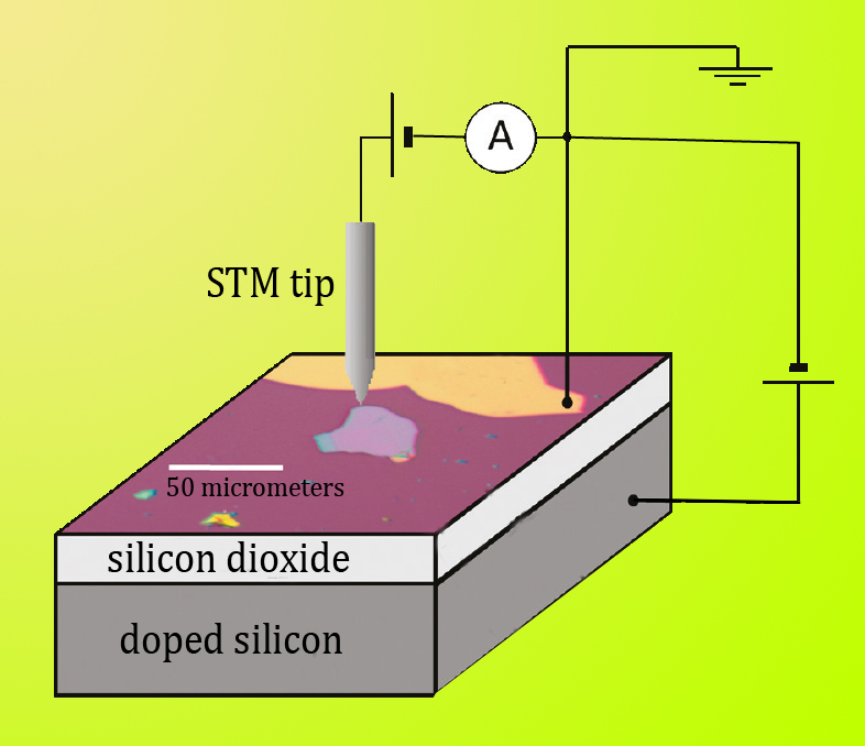 To study the properties of graphene on a boron-nitride substrate versus graphene on a silicon-oxide substrate, the researchers deposited boron nitride flakes on a layer of silicon dioxide, grown on a layer of doped silicon. The doped silicon was used as a gate electrode for doping the graphene during scanning tunneling microscopy. Graphene was applied to both the boron nitride flakes (under the STM tip) and the bare silicon dioxide; the graphene was grounded by an electrode of gold/titanium. The STM could scan across both substrate systems. 