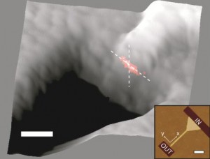3-D image overlap of the deep sub-wavelength HPP mode signal (red spot) offering optical confinement significantly below the diffraction limit of light. This indicates the devices’ potential to create strong light-matter-interaction for compact and highly functional photonic components. (courtesy of Zhang group)
