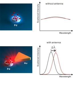 Top figure shows hydrogen molecules (red) absorbed on a palladium nanoparticle, resulting in weak light scattering and barely detectable spectral changes. Bottom figure shows  gold antenna enhancing light scattering and producing an easy to detect spectral shift. (Image courtesy of Alivisatos group)
