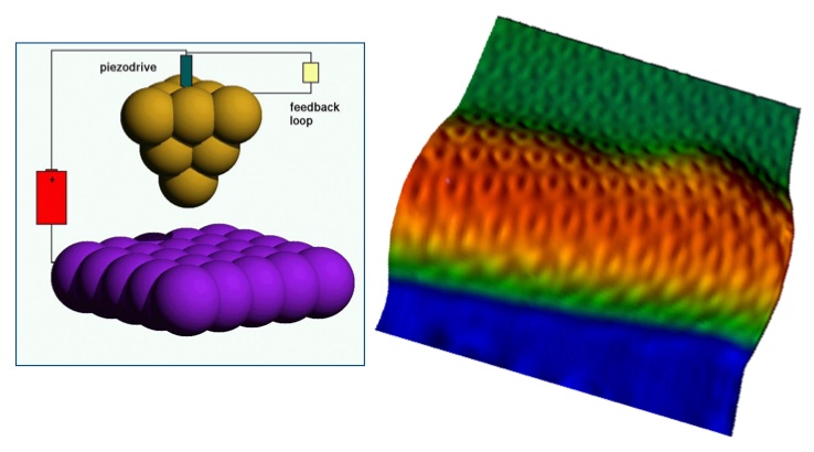 A scanning tunneling microscope determines the topography and orientation of the graphene nanoribbons on the atomic scale. In spectroscopy mode, it determines changes in the density of electronic states, from the nanoribbon's interior to its edge. 