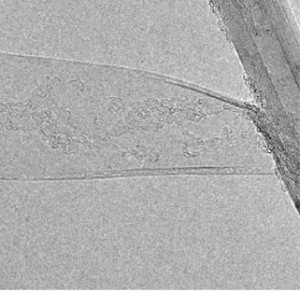TEM micrograph showing a boron nitride nanoribbon (left) that has unzipped off its parent boron nitride nanotube (right).
