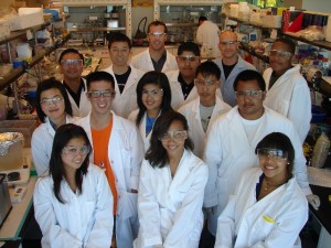 iCLEM, a summer program that provides paid internships to Bay Area high school students, is jointly sponsored by the Joint BioEnergy Institute (JBEI) and the Synthetic Biology Engineering Research Center (SynBERC). (Photo by Kevin Costa, SynBERC)