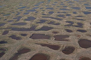 High-latitude soil such as permafrost hold vast quantities of carbon that could speed up global warming if it enters the atmosphere. 