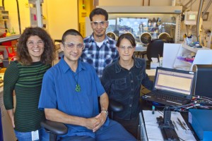 Berkeley Lab researchers (left to right) Raffaella Buonsanti, Rueben Mendelsberg, Guillermo Garcia and Delia Milliron have discovered a semiconductor nanocrystal coating material based on electrochromic materials, which use a jolt of electric charge to tint a clear window. This breakthrough technology is the first to selectively control the amount of near infrared radiation from the sun, which leads to heating. (Photo by Roy Kaltschmidt)