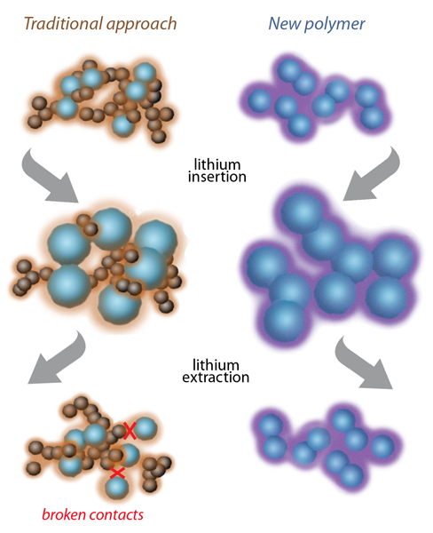 At left, the traditional approach to composite anodes using silicon (blue spheres) for higher energy capacity uses a polymer binder such as PVDF (light brown) plus added particles of black carbon to conduct electricity (dark brown spheres). Silicon swells and shrinks while acquiring and releasing lithium ions, and repeated swelling and shrinking eventually break contacts among conducting carbon particles. At right, the new Berkeley Lab polymer, PFFOMB (purple), is itself conductive and continues to bind tightly to the silicon particles despite repeated swelling and shrinking. 