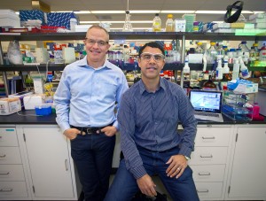 Jay Keasling (left) and James Carothers at the Joint BioEnergy Institute are using their RNA CAD-type models and simulations  to help them engineer metabolic pathways that will increase microbial production of clean, green advanced biofuels. (Photo by Roy Kaltschmidt, Berkeley Lab)